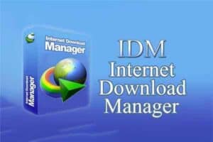 Internet Download Manager IDM 中文便携版 v6.42.6-二楼后座