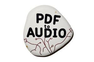 PDF to Audio Converter：AI将PDF 转换为音频播客、讲座、摘要等-二楼后座