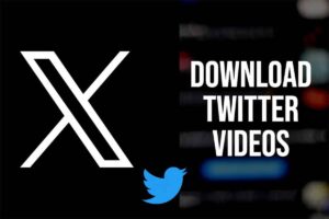 X Twitter推特视频下载器：DL熊猫-二楼后座