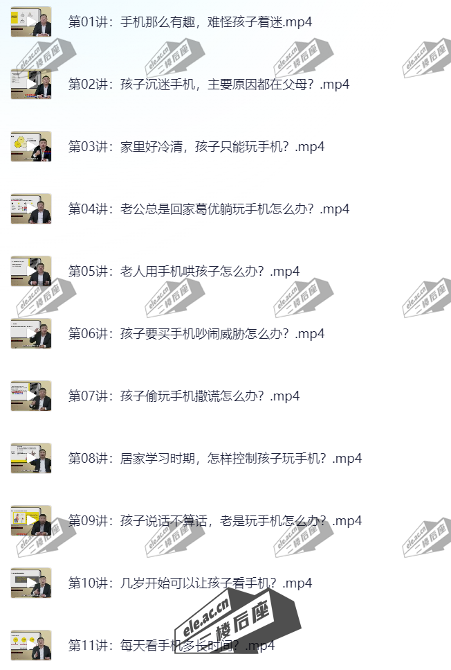 ele_2024-11-14_13-08-05