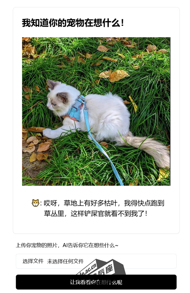 ele_2024-11-27_22-26-48